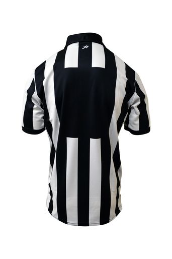 Honig's 2" Stripe Short Sleeve Jersey With Position/number Placket on back. - ATE